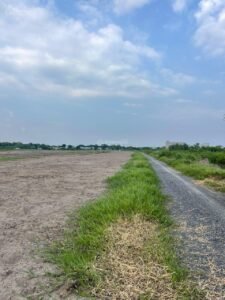 Bán gấp lô đất thổ cư đường Xương Cá số 1 xã Lý Nhơn huyện Cần Giờ TPHCM giá đầu tư